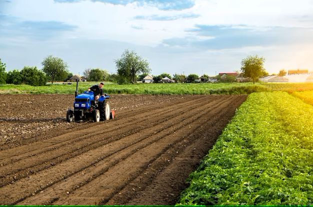 how is community gardening more sustainable than large-scale commercial farming​